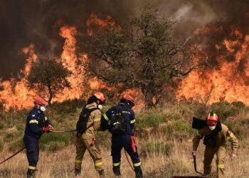 Υψηλός κίνδυνος πυρκαγιάς σήμερα στην Αττική και πολλές ακόμα περιφέρειες – Δείτε τον χάρτη