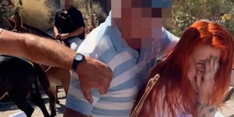 Σαντορίνη: Καταγγελία της PETA για βίαιο περιστατικό – Η απάντηση του Δήμου Θήρας