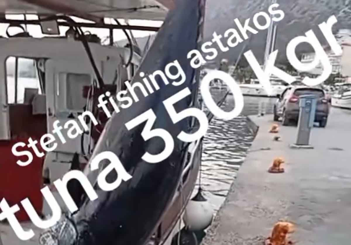 Ψαράδες από τον Αστακό έπιασαν τόνο 350 κιλών! (video)